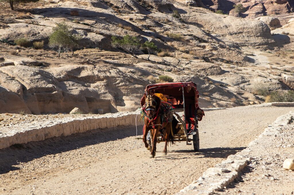 horse, petra, jordan-4791894.jpg