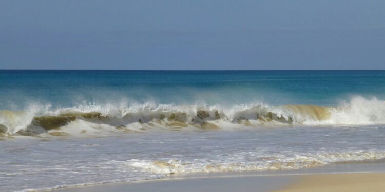 boa vista travel guide