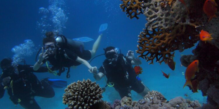 hurghada snorkelling