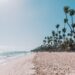 punta cana travel guide