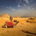 egypt travel guide