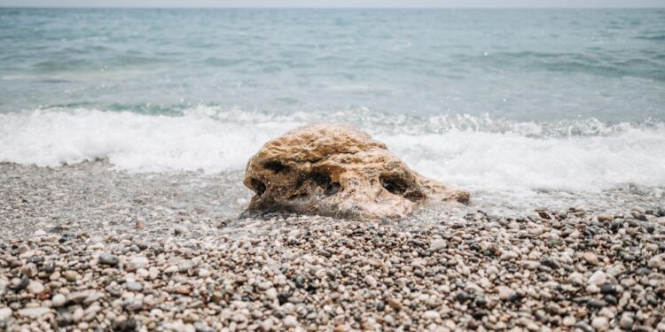 perpignan france beaches