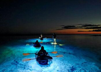 night kayaking