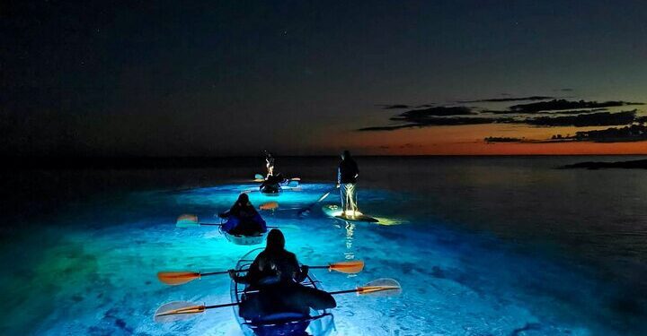 night kayaking