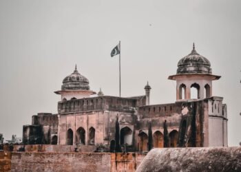 lahore kites